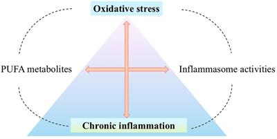 Inflammasome activity regulation by PUFA metabolites